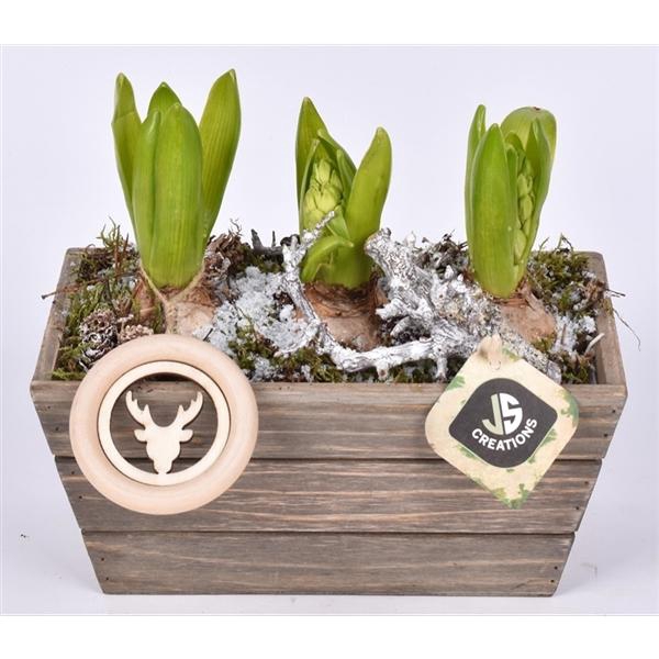 <h4>Hout rechthoek 22x13cm</h4>