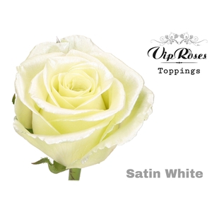 R Gr Baby Satin White R50 X20