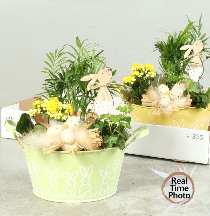 <h4>ARR KAMERPL</h4>