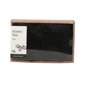 Ijslandmos (reindeer) Black - Box M