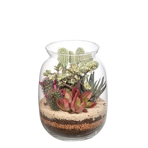 ARRANGEMENT CACTUS AND SUCCULENTS IN GLASS TERRARIUM Ø 17 H 22 CM - CARDBOARD BOX 18X18 CM (CACTUS EN SUCCULENTEN)