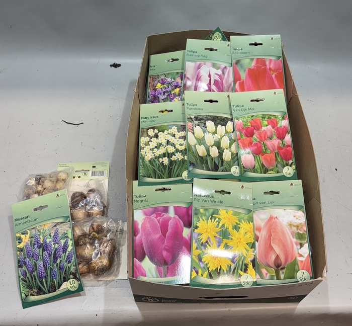 <h4>BLOEMBOL OV</h4>