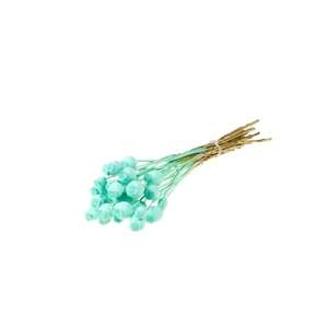 Papaver Blue Aqua