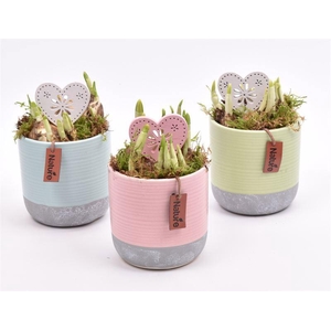 Keramiek pot kl. mix met label 10cm