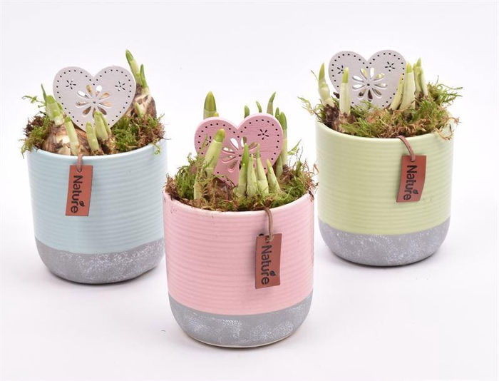 <h4>Keramiek pot kl. mix met label 10cm</h4>