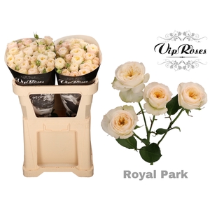 R TR ROYAL PARK