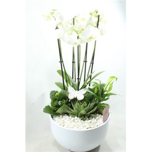 0990 5-TAK WHITE