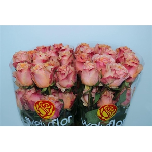 R Gr Carpediem ?+ **