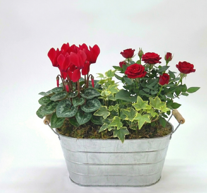 <h4>assemblage pot zinc</h4>