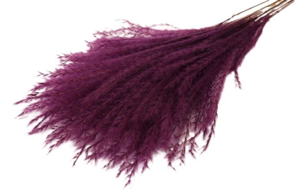 Bunch Fluffy Silver Grass 10pcs L75