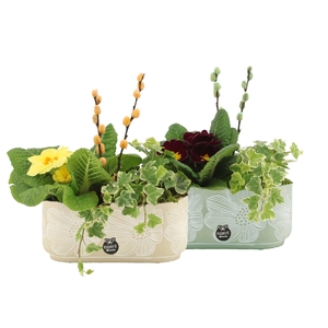 11678: Outdoor spring arrangement