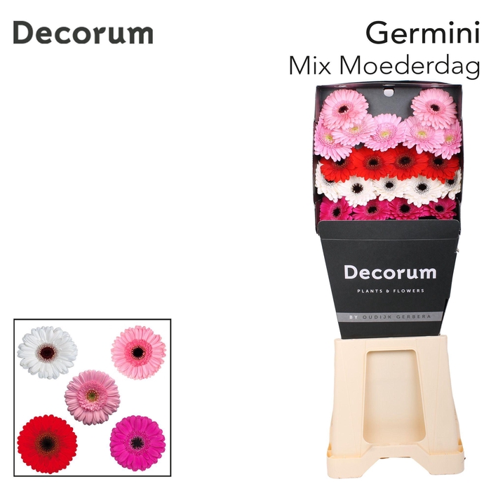<h4>Germini Mix Moederdag Diamond</h4>