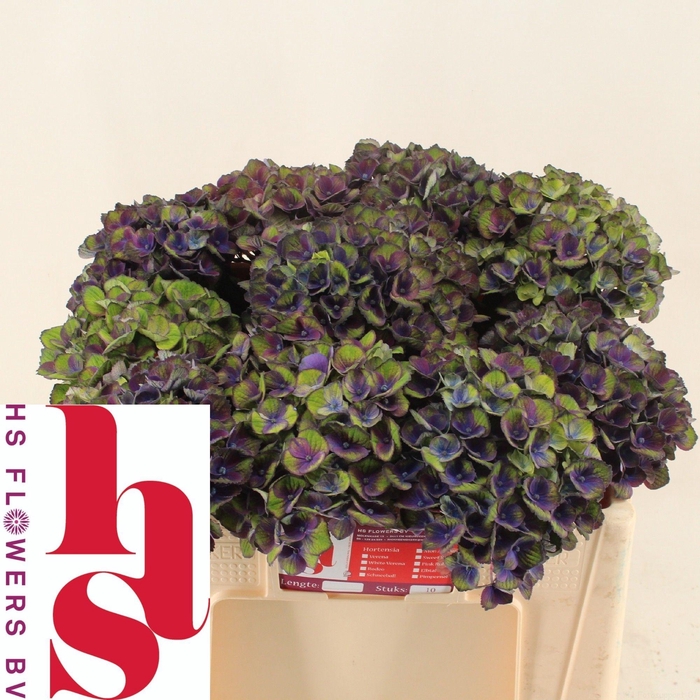 <h4>HYDR M MAG CHARL BL</h4>