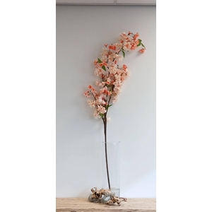 CHERRY BLOSSOM SPRAY PEACH FL440287 L160