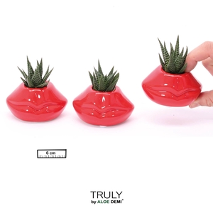 TRULY Succulent, Lip mini