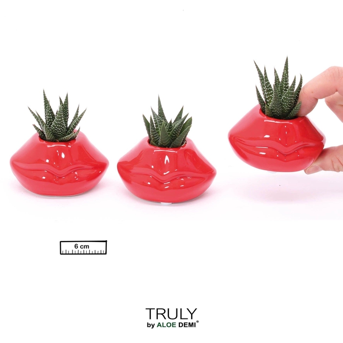 <h4>TRULY Succulent, Lip mini</h4>