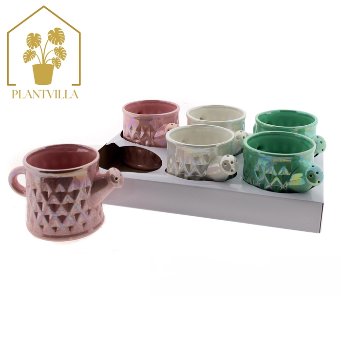 <h4>HUIS EN TUINDECO H%</h4>