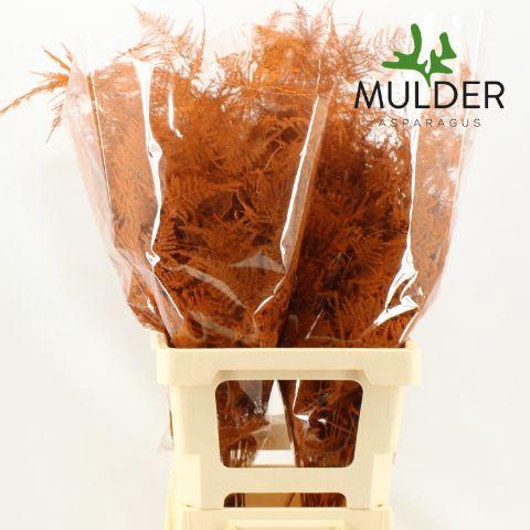 <h4>Asp KLB H% Extra Veren Orange</h4>