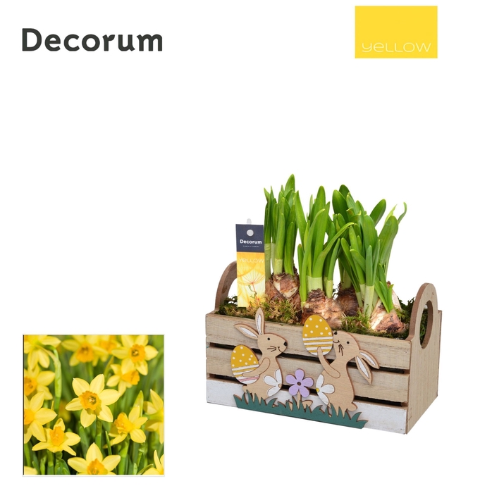 <h4>Narcis Easter Box HL14655 [YELLOW]</h4>