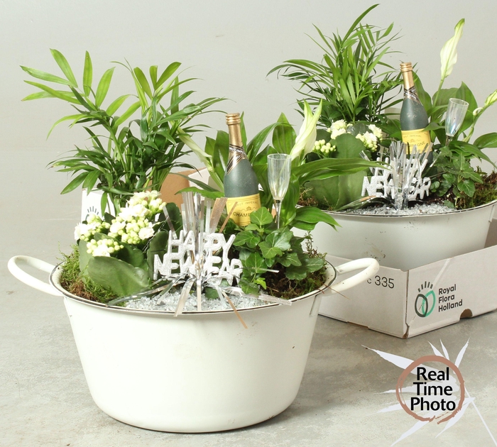 <h4>ARR KAMERPL</h4>