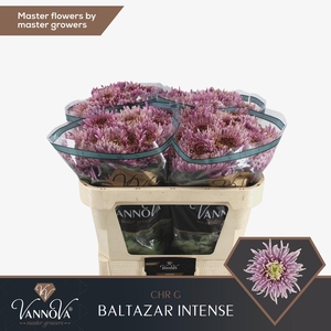 CHR G BALTAZAR INTEN