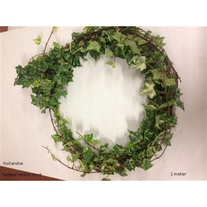 Hedera H Blad