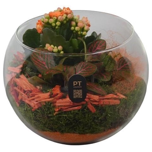 PTHG8213 Arrangement Autumn Glass in glazen vissenkom