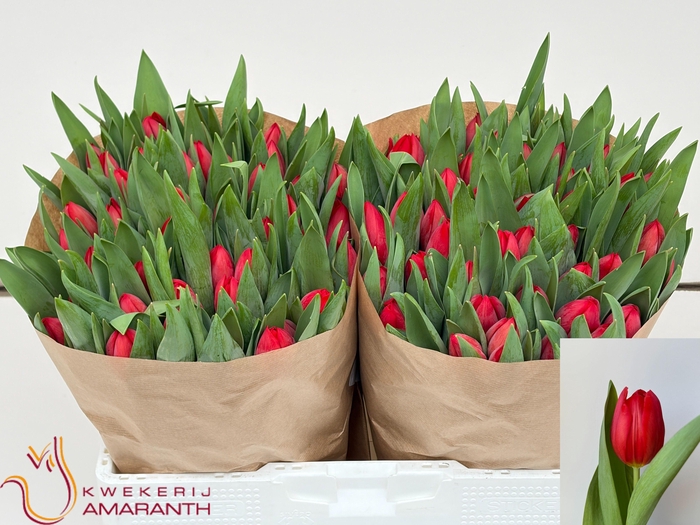 <h4>TU EN HOTSPOT</h4>