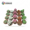 Sierra's® - Bilbao Cactus Mix (Collection)