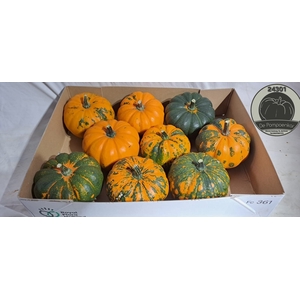 CUCURBITA