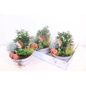 ARR TUINPLANTEN