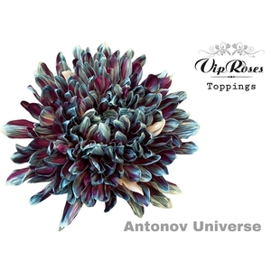 Chr g Antonov Paint Universe