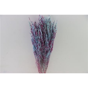 Dried Artz Rice Grass Rubens Bunch Slv