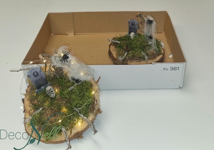 <h4>ARR TUINPLANTEN</h4>