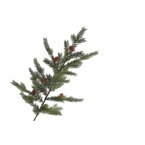 Pine Cone Spray