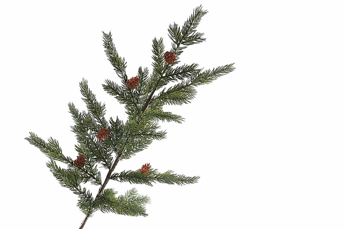 <h4>Pine Cone Spray</h4>