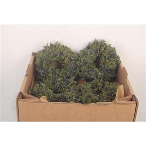 Krans Juniperis Berry Black 12cm