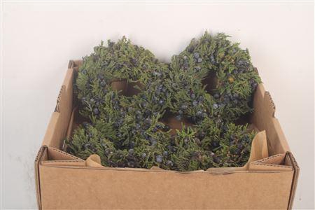 <h4>Krans Juniperis Berry Black 12cm</h4>