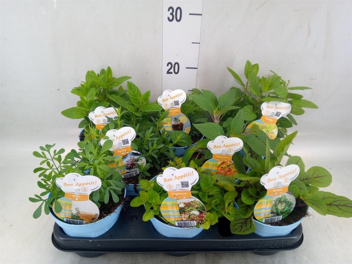 <h4>Tuinkruiden   ...mix</h4>