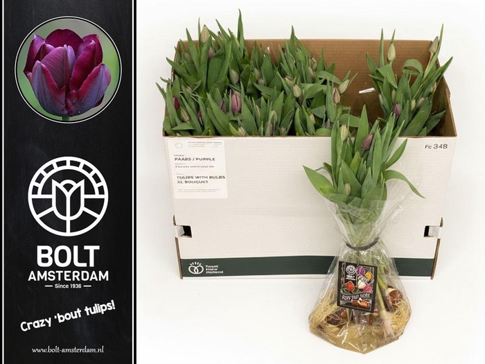 <h4>Tu En Ronaldo</h4>