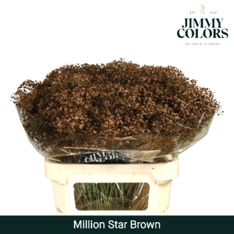 <h4>Gyps Million Star L80 Brown</h4>