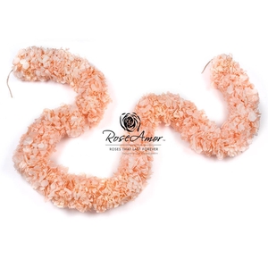 Guirnaldes Hydrangea 2meter Pea99