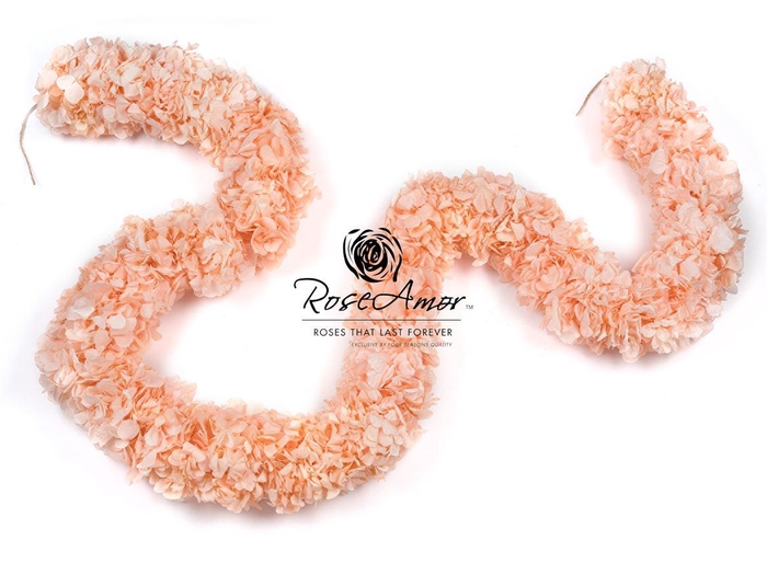 <h4>Guirnaldes Hydrangea 2meter Pea99</h4>