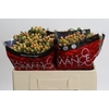 Hypericum Mellow Romance