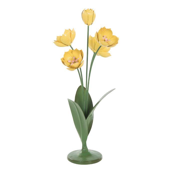 <h4>IJzer   ...H%</h4>