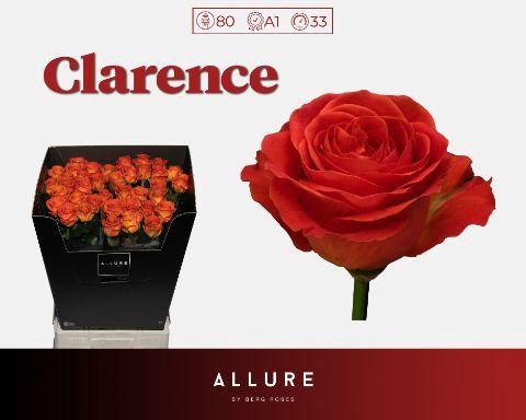 <h4>R GR CLARENCE+</h4>