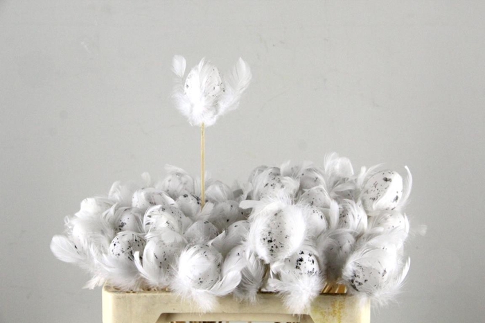 Stick Egg+Feather White