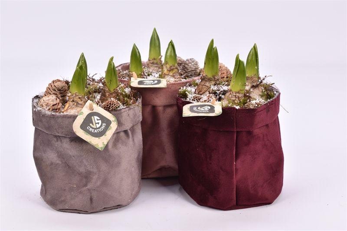 <h4>Katoenen zak 3 kl. mix 13cm</h4>