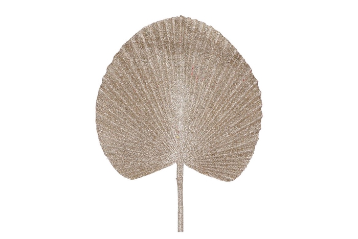 <h4>Pick Shine Fan Cozy Champagne 66cm</h4>