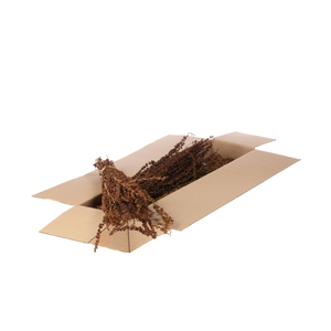 Palak Stick Sb Natural
